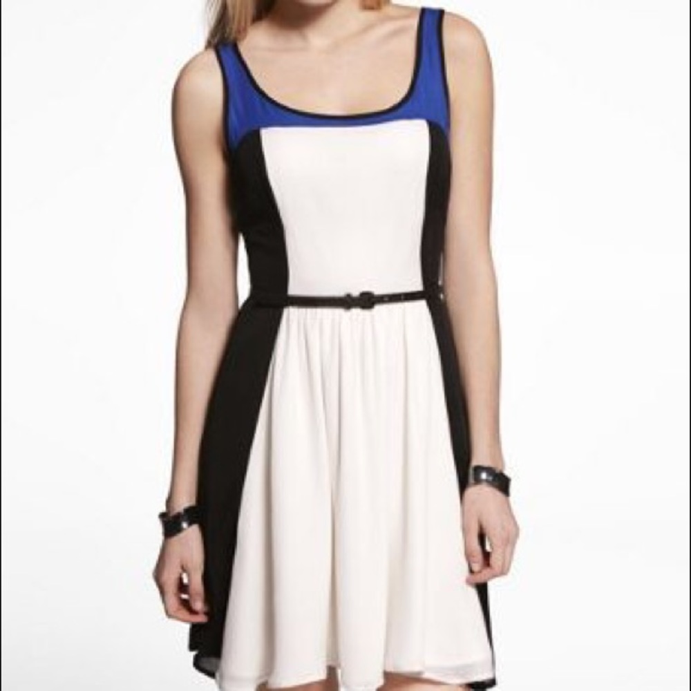 Express Colorblock Fit and Flare Skater Dress